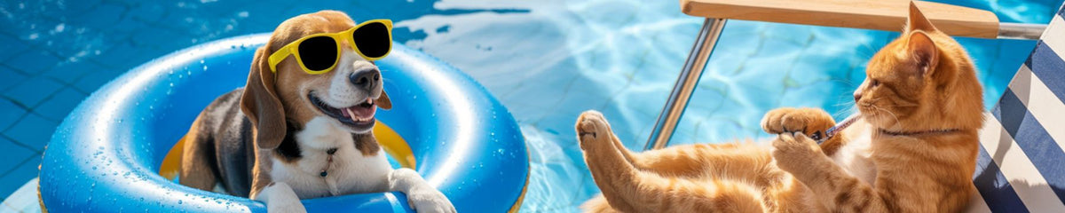 Verão Pawfect