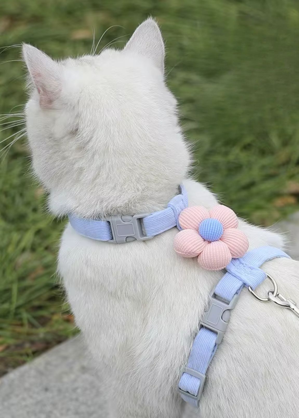 Arnês para Gato