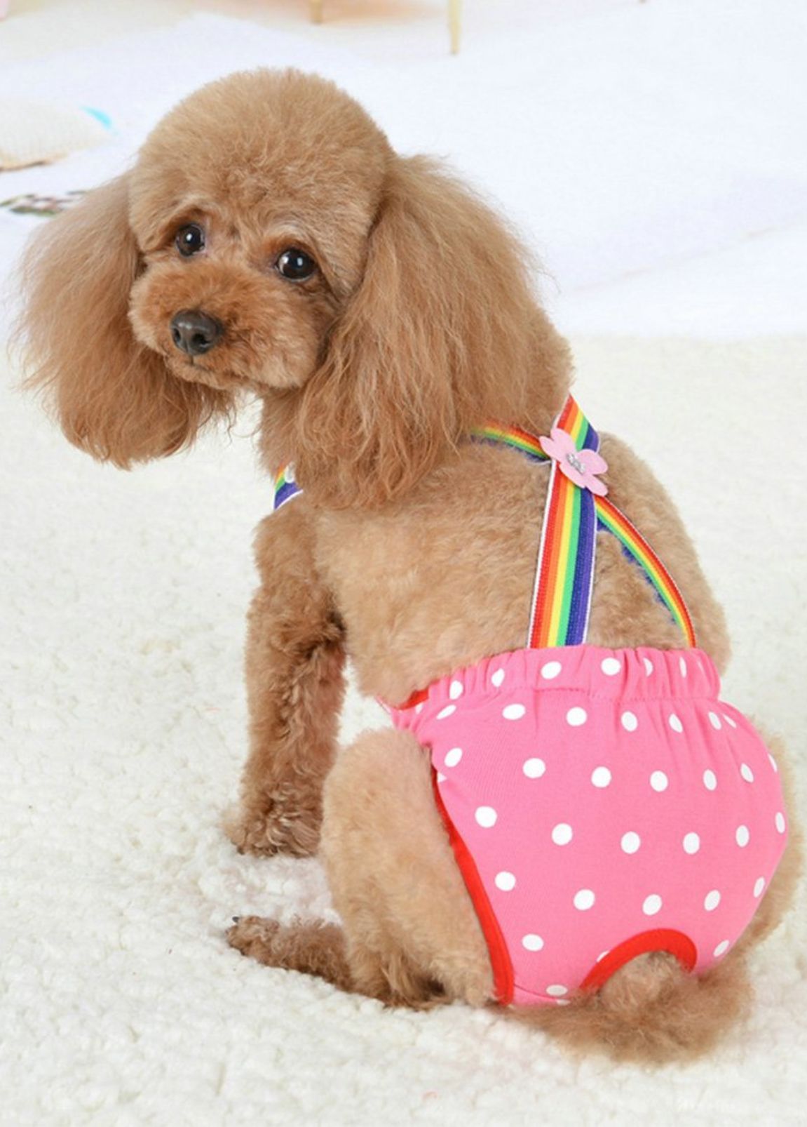 Fralda para Cão Rosa