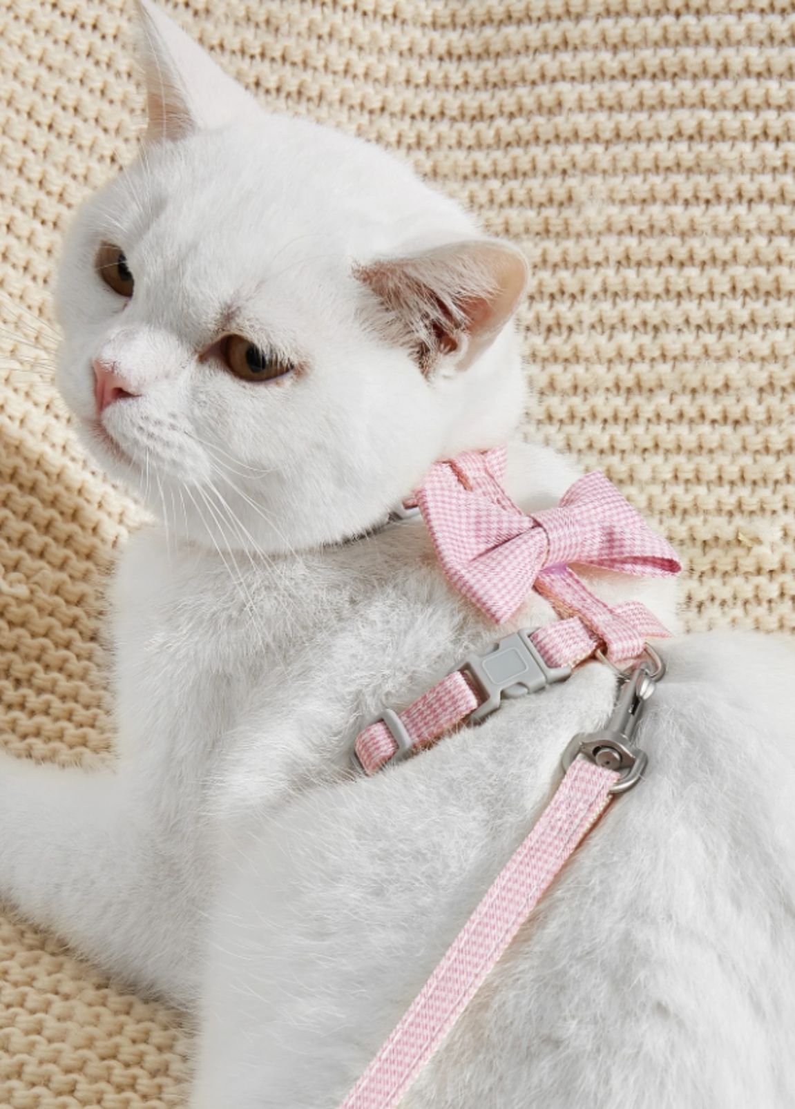 Arnês para Gato