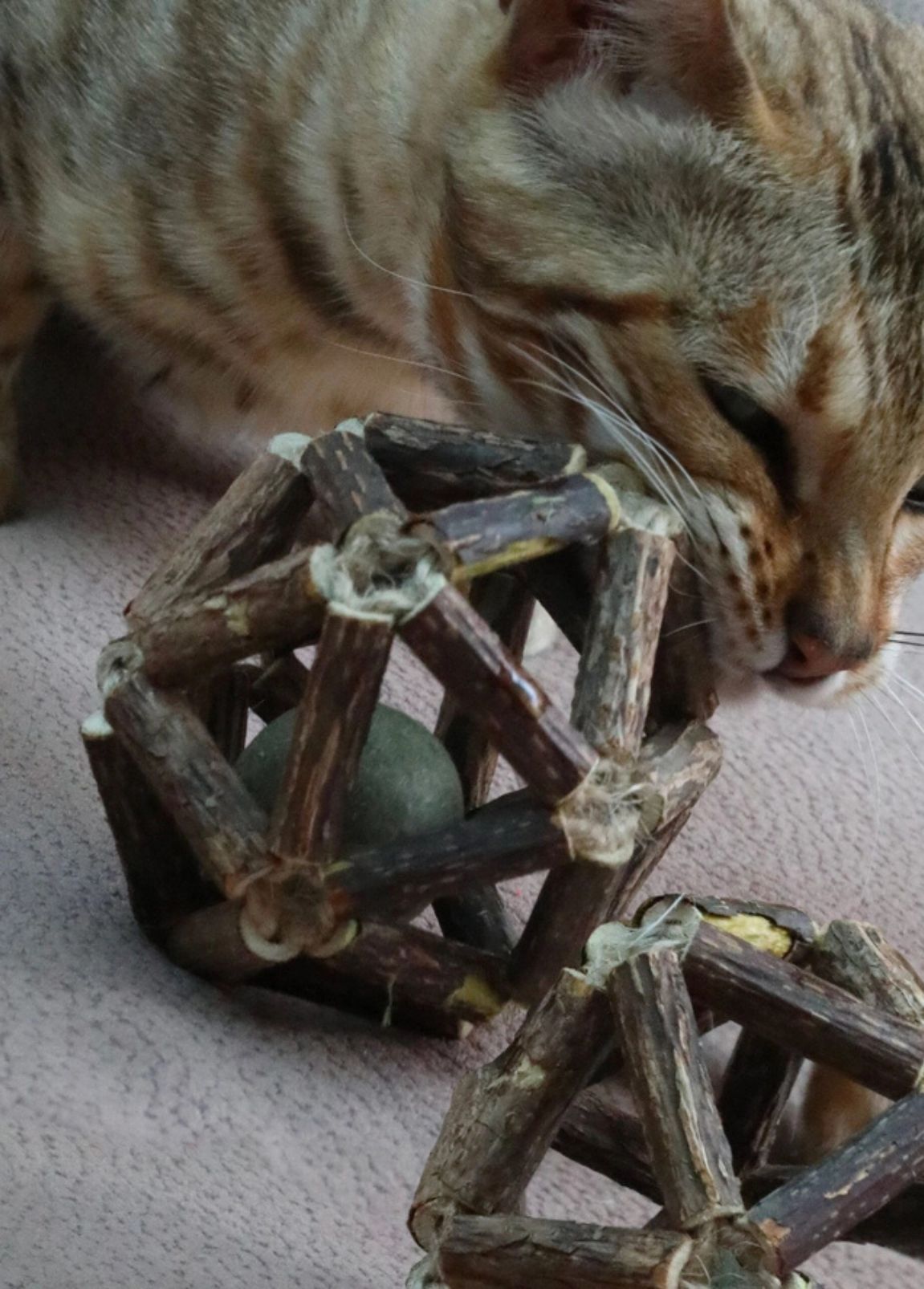 Bola de Gato Croci