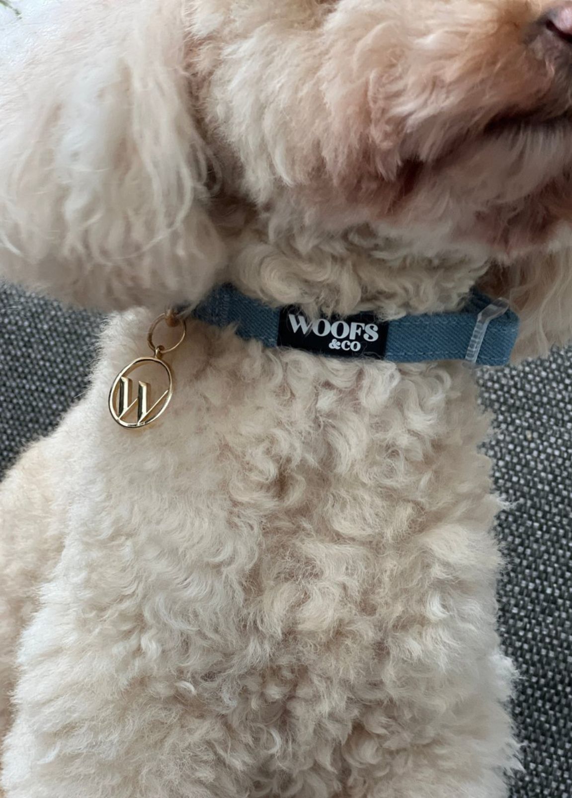 Coleira para cão Woofs & Co