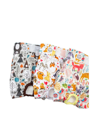 Fraldas Hund Ist Konig