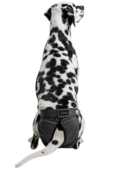 Fraldas Brenda Finnero