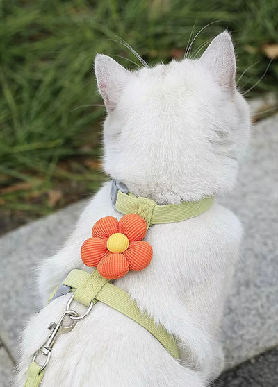 Arnês para Gato