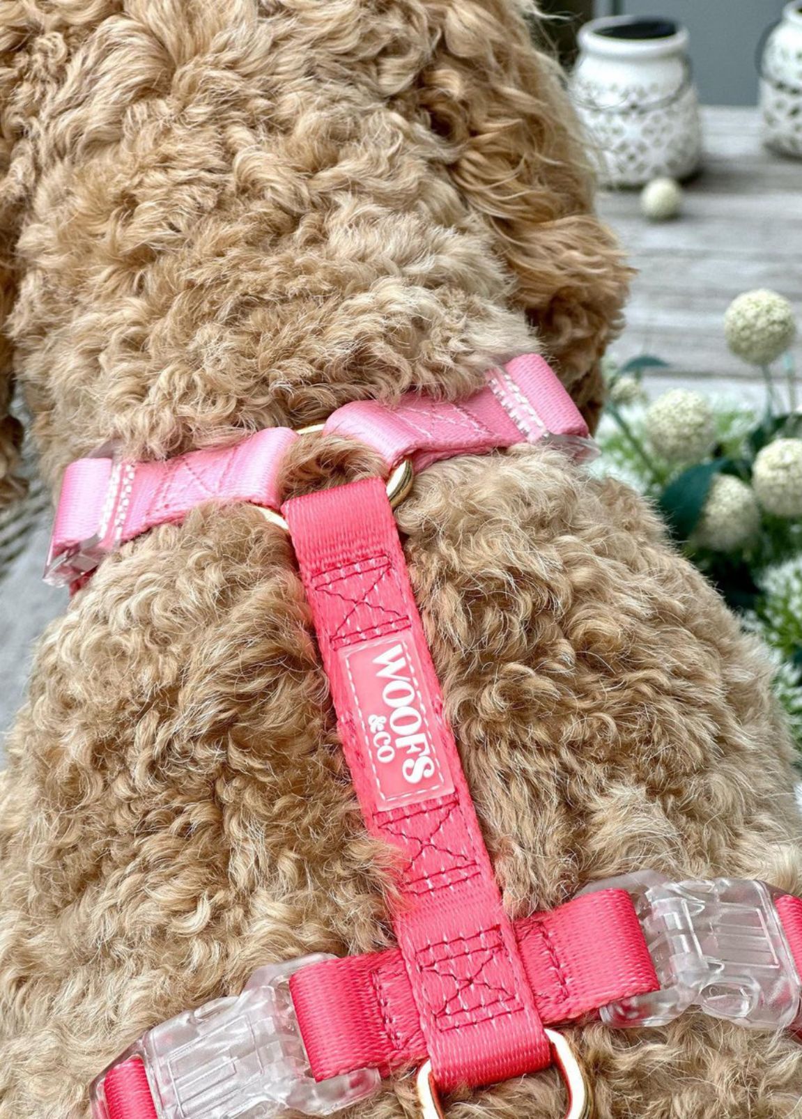 Arnês Woofs & Co