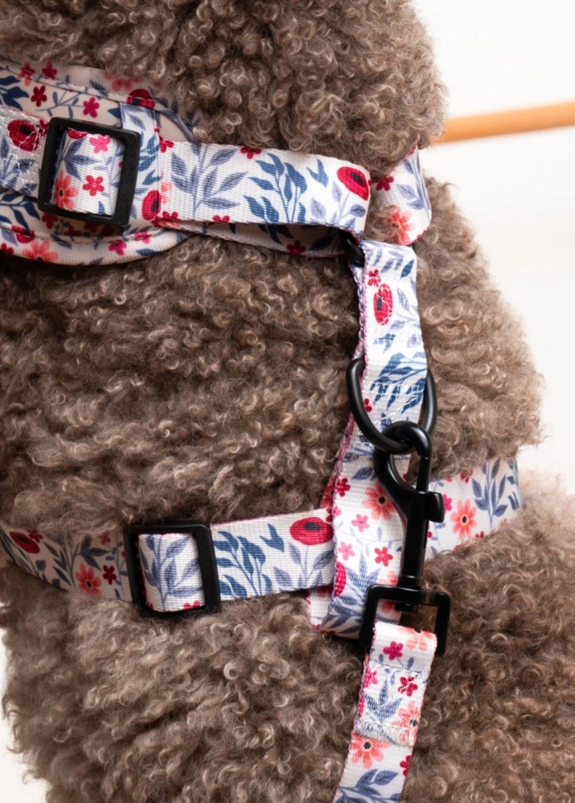 Arnês Nuk Pets Floral