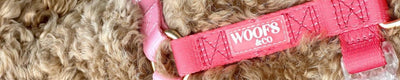 Woofs & Co
