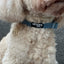 Coleira para cão Woofs & Co