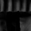 Fraldas Ballerina Finnero Preto