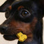 Biscoitos Cooka's Cookies - Sintra Bliss