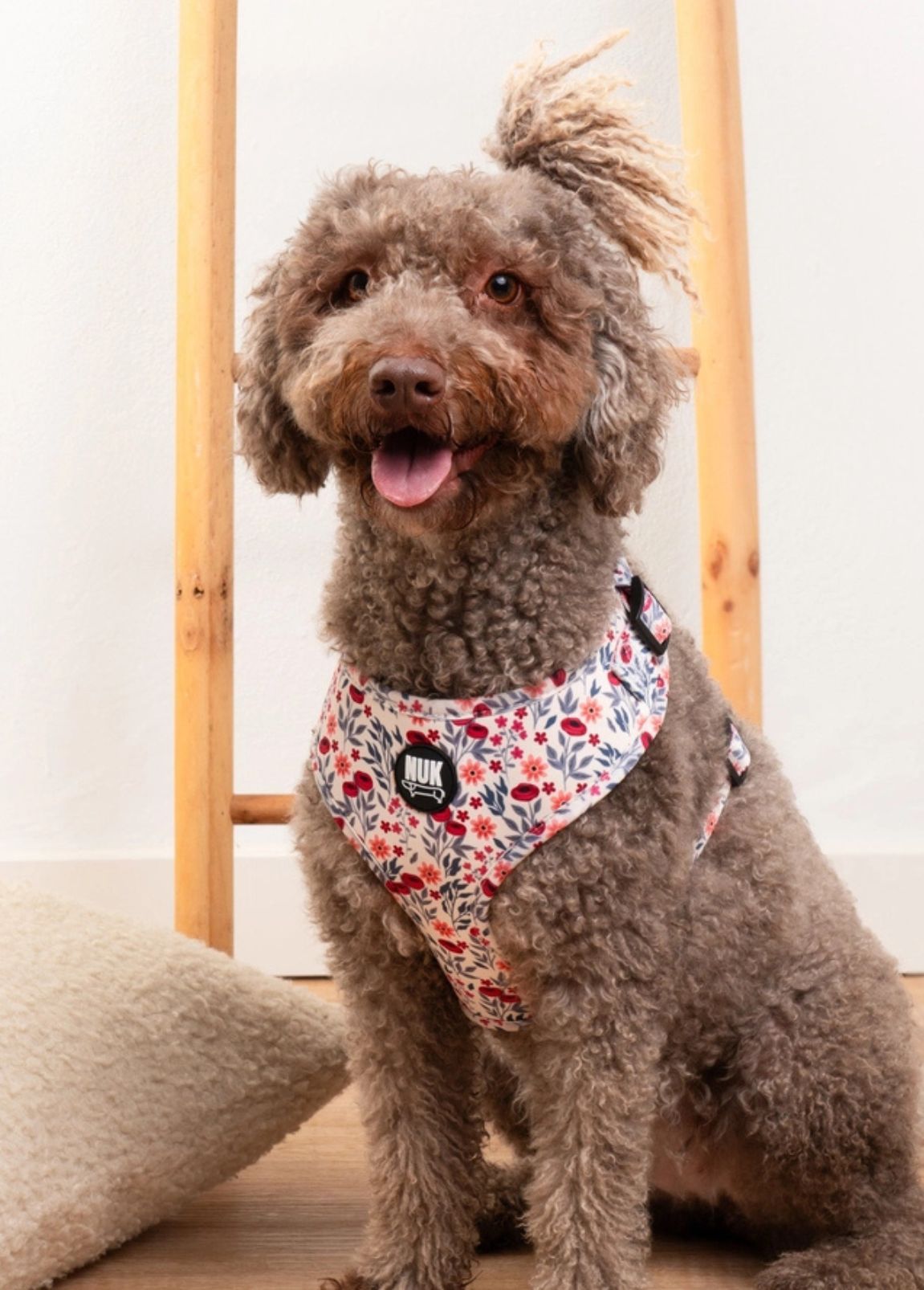 Arnês Nuk Pets Floral